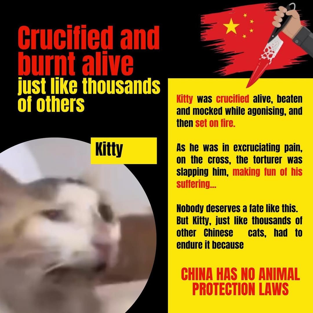 michisisss tweet media