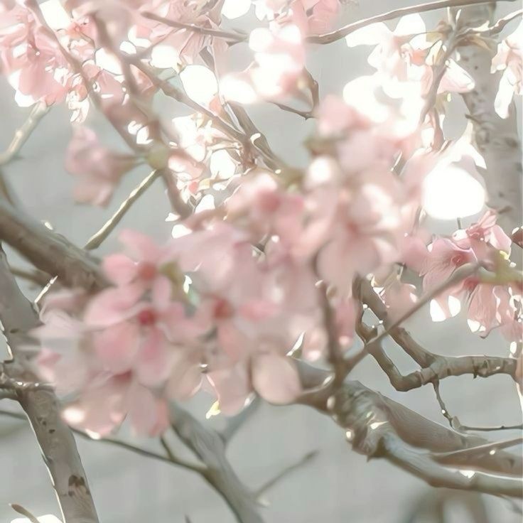 ̸       :¨ ·.· ¨:　　　⊹　　　🌸　　  　꒰ ྀི  ◞   ◟  ꒱       #yumetwt #yumeship #selfship #sstwt

      hilo inspo, ver. romance
  ¡ llenate de amor y cariño
            para darle a tu pareja !

      ۫          新月       ( ℳ.  )          .     ࣪