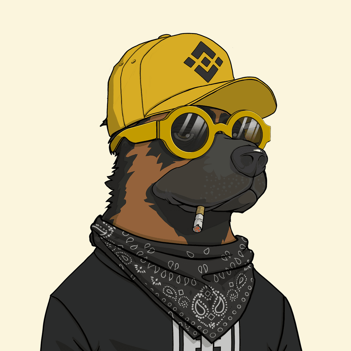 When $HUND beauty meets #Binance  style.