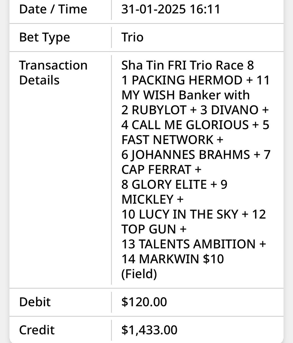 algopick's tweet image. Chinese New Year Shatin HK