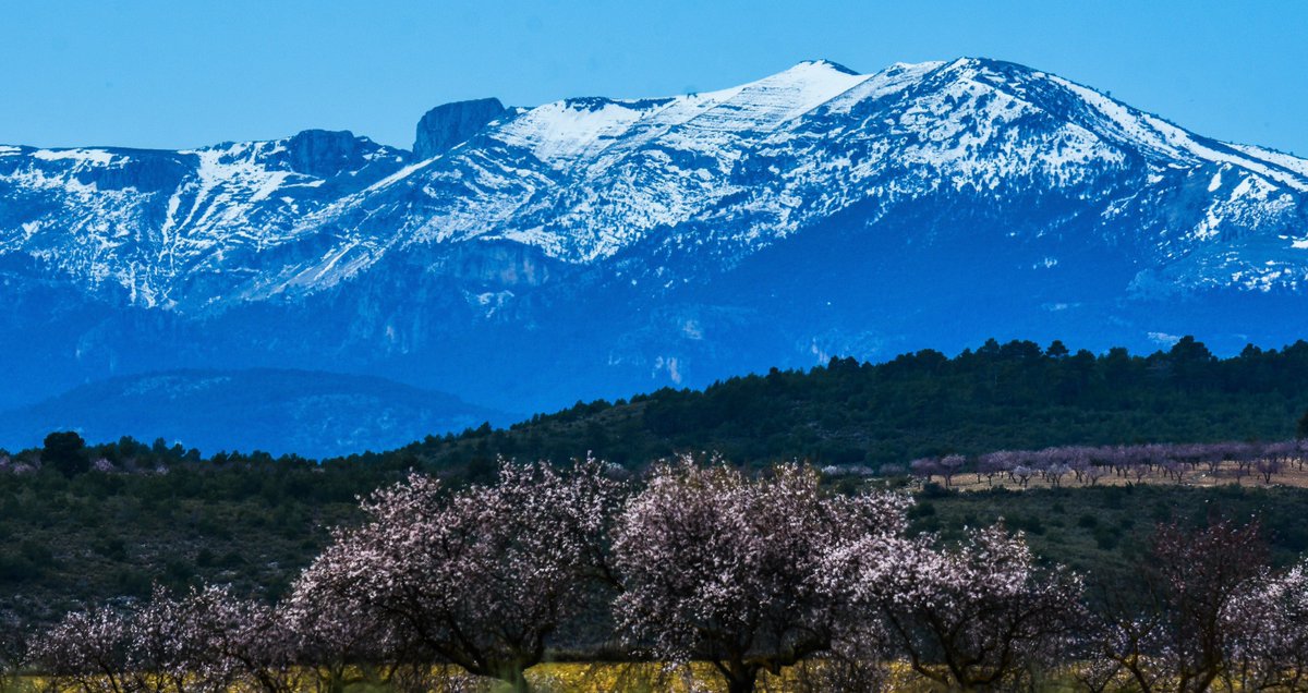Una de las bestias más desconocidas de toda la Sierra de Segura está en Yeste, Albacete, una auténtica mole de calcáreo que recorre el Jurásico y se corona con el Cretácico.

En apenas 6 km se funden casi 1200 m de diferencia (del lecho del Segura a 711 m hasta el pico Mentiras a
