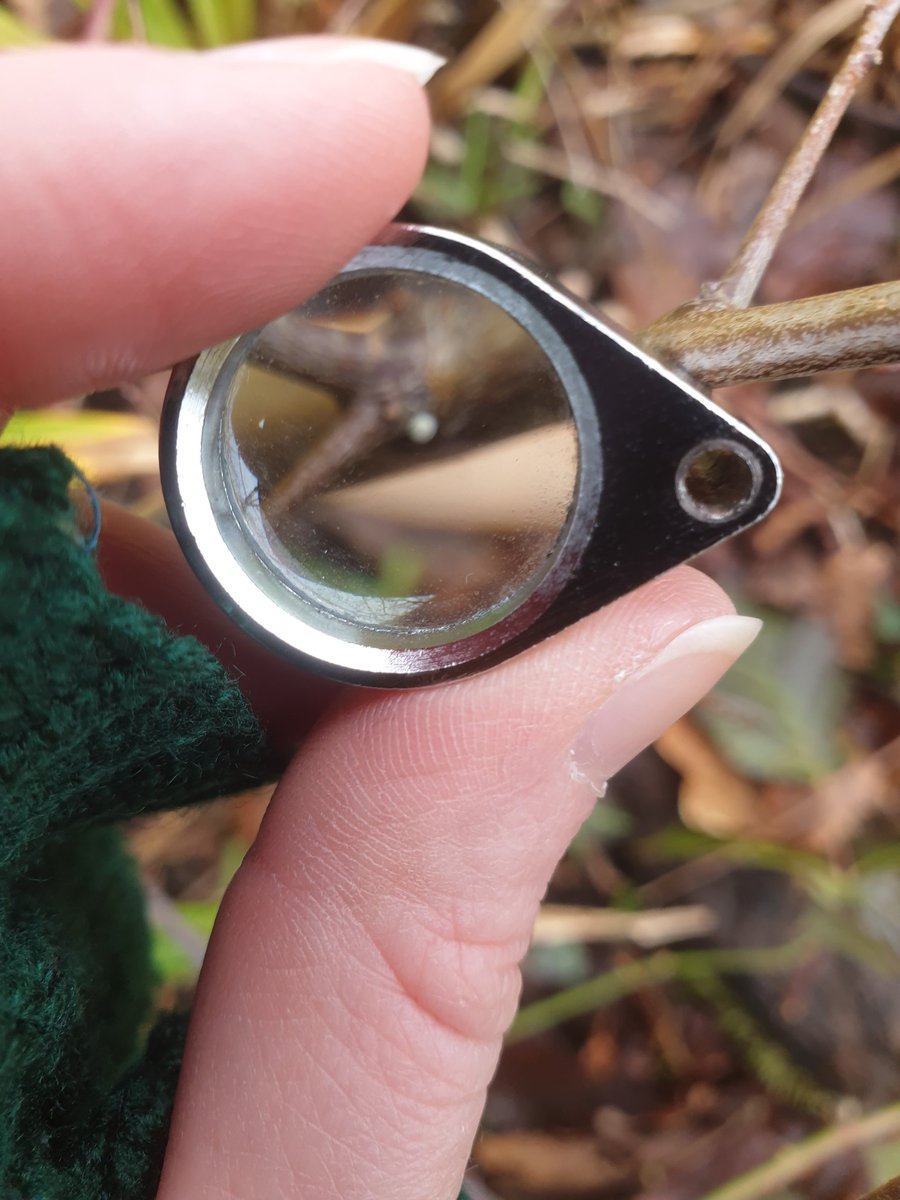 Rachel Mailes tweet media