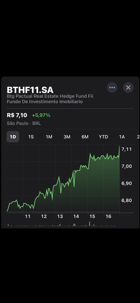 Bolsa sem filtro tweet media