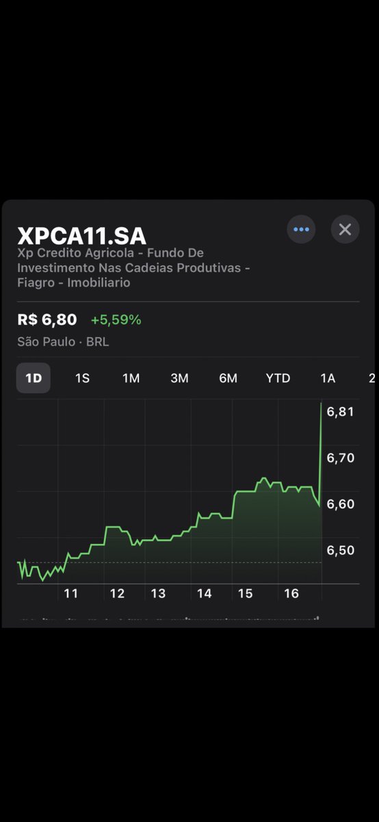 Bolsa sem filtro tweet media