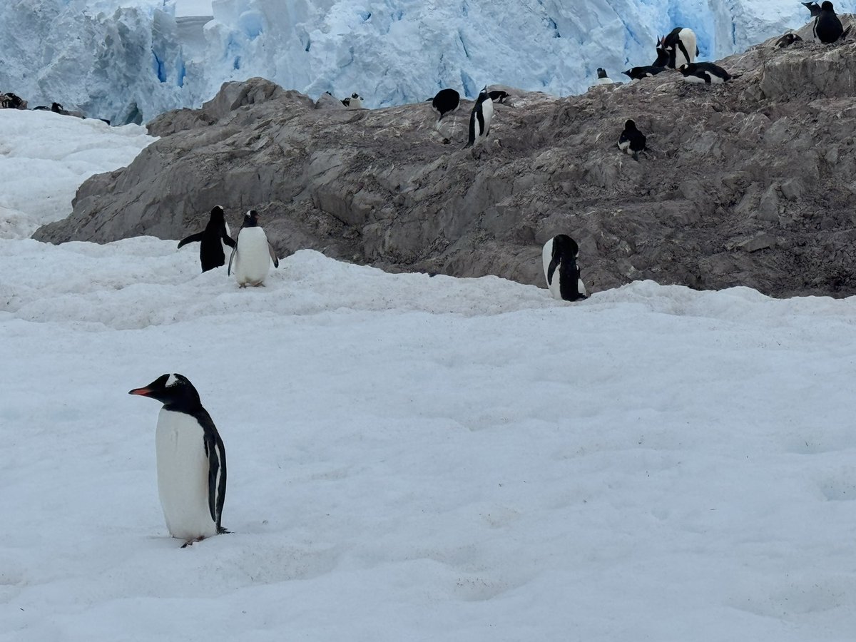 Astro_Jose's tweet photo. Had the privilege to travel to Buenos Aires, Ushuaia, cross the Drake passage & onto Antarctica with my Son Dr. Julio! Great experience aboard an expedition organized by https://t.co/LmeFnhkTjF Lots of notables including @WilliamShatner, @neiltyson @Cmd16Duke @StationCDRKelly https://t.co/CLLHPsnojh