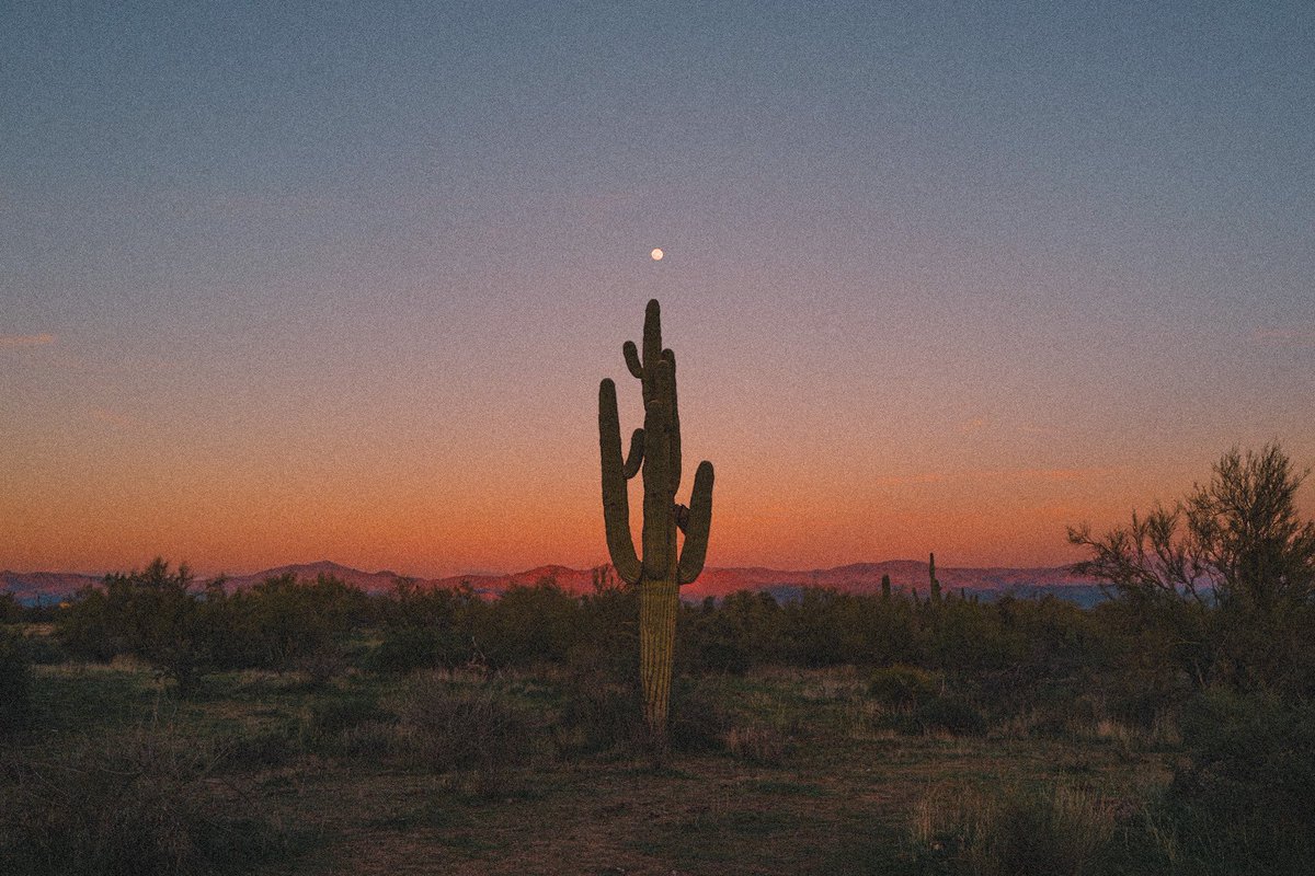 nev_in_color's tweet photo. the art of noticing. https://t.co/a0KgAA1oUO