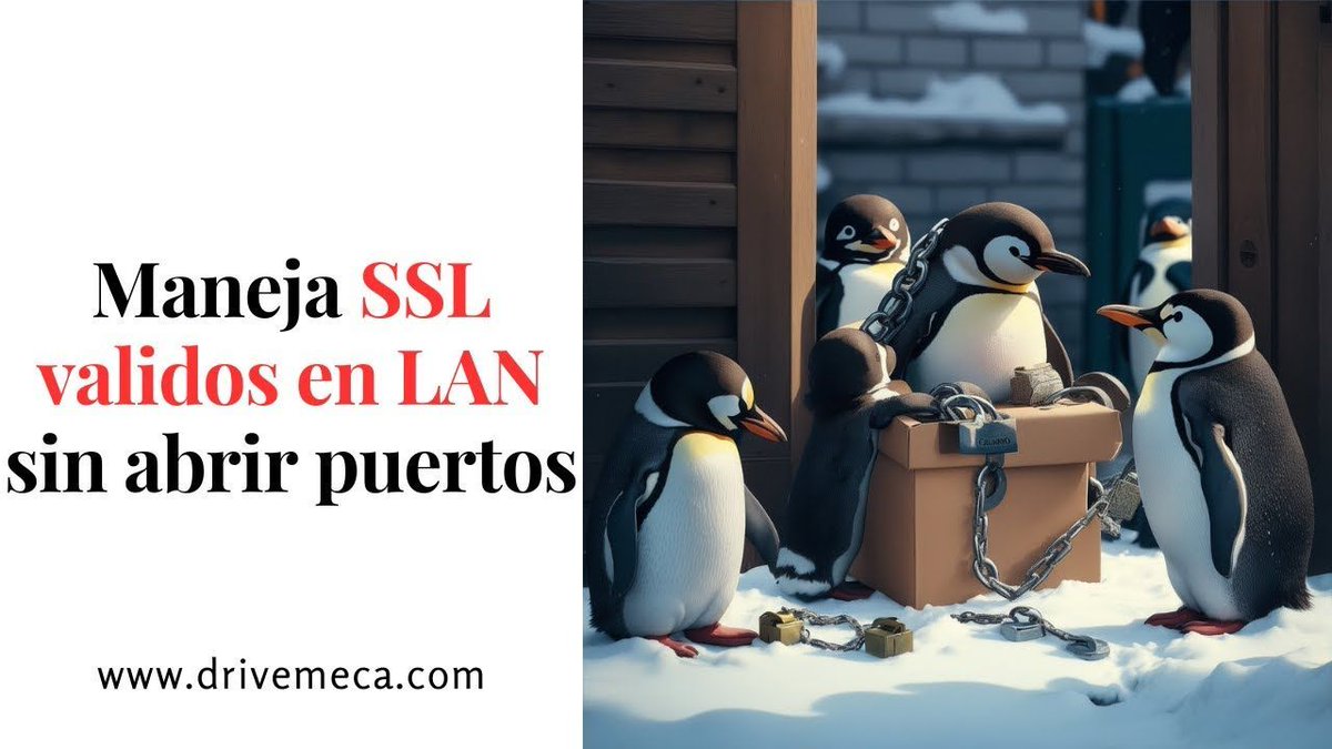 drivemeca's tweet image. Como manejar #SSL valido en LAN sin abrir puertos buff.ly/3Z8NRy2 #nginxproxymanager #opensource
