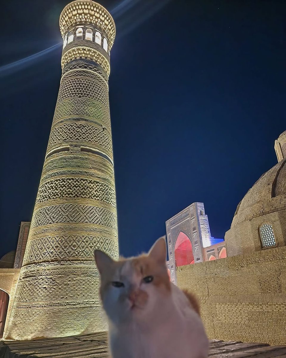 Bukhara, Uzbekistan 🇺🇿