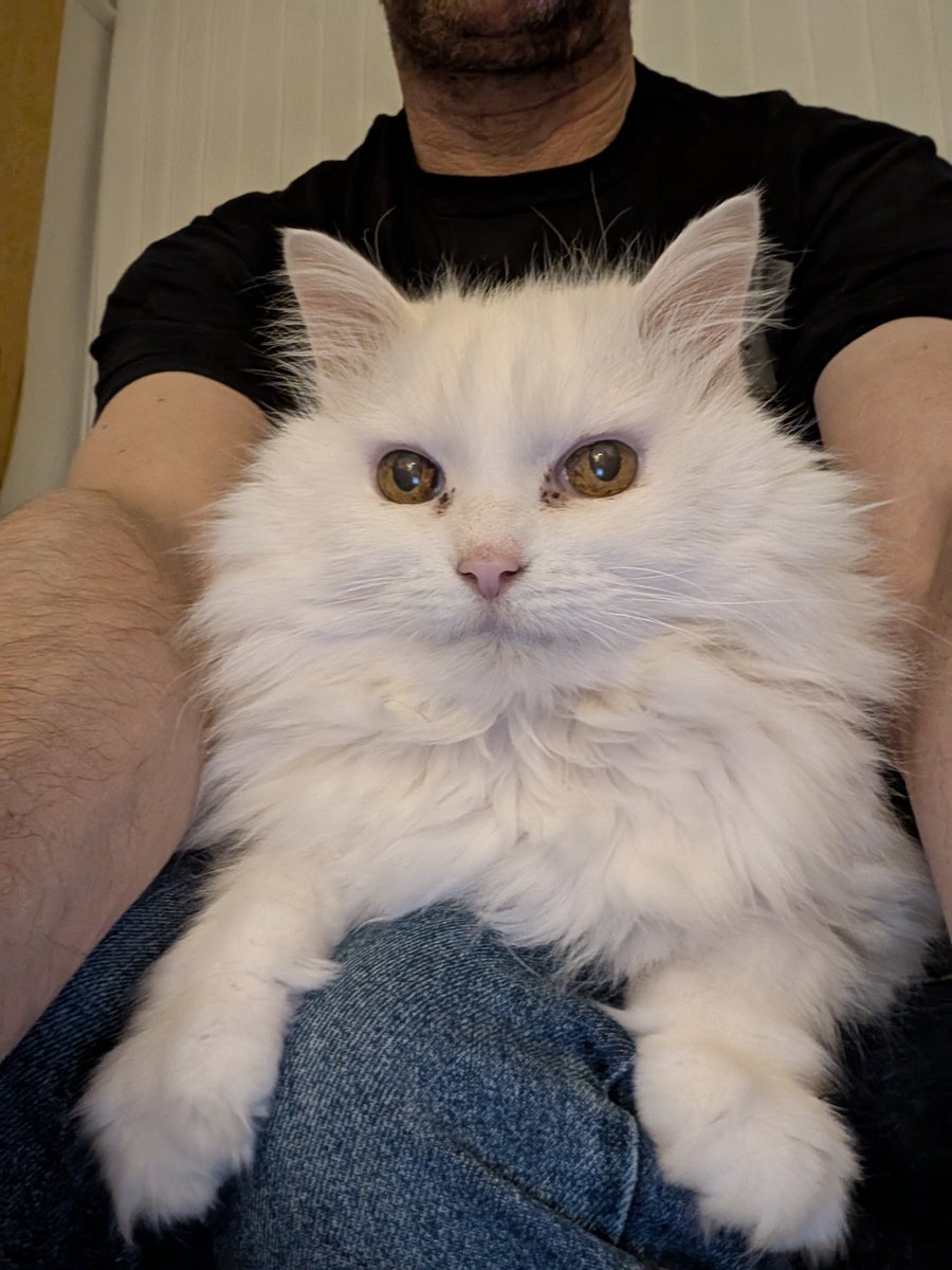 Dad sitting with his baby girl Bianca 😻 she's 17 this year ❤️ haven't met her yet, but maybe one day ❤️