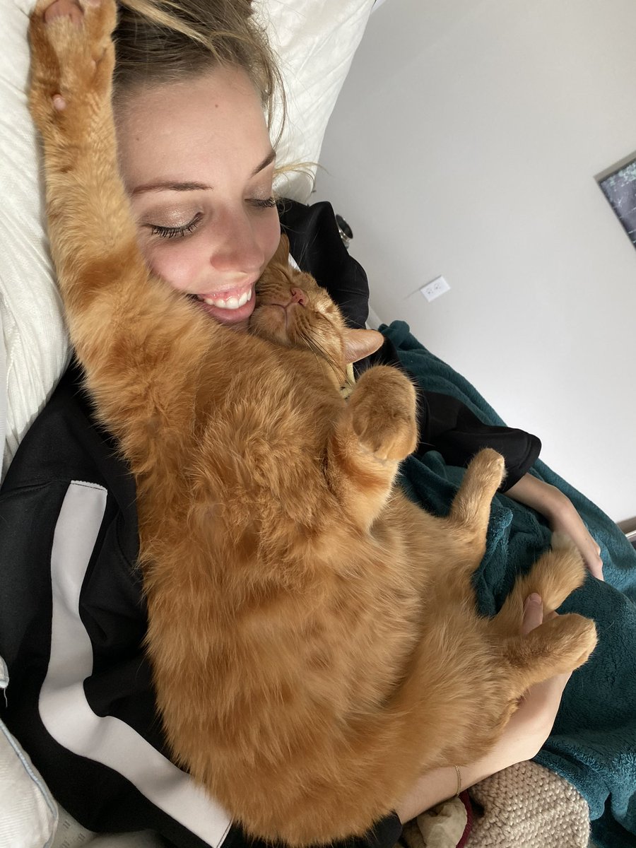 Garrett_Borden's tweet image. This one hurts a lot 💔 Yesterday, we had to say goodbye to the most legendary cat the world has ever known. I love you Bubba and you will always be the best buddy boy. Thank you for being such a great member of our family.
