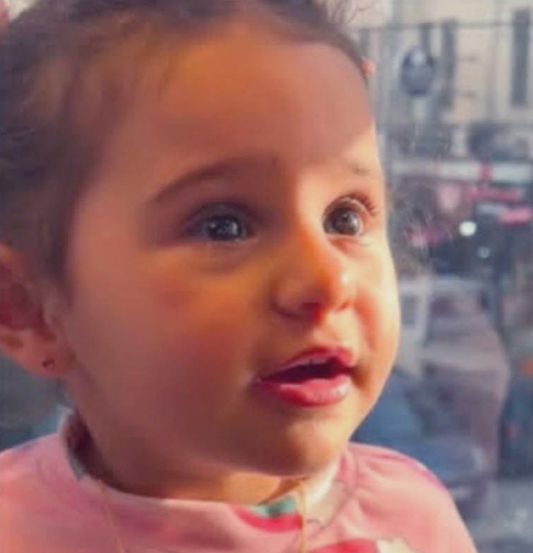 Israel killed Laila in Jenin, occupied West Bank, by shooting her in the head.

She was only 3 years old.

The Genocide continues