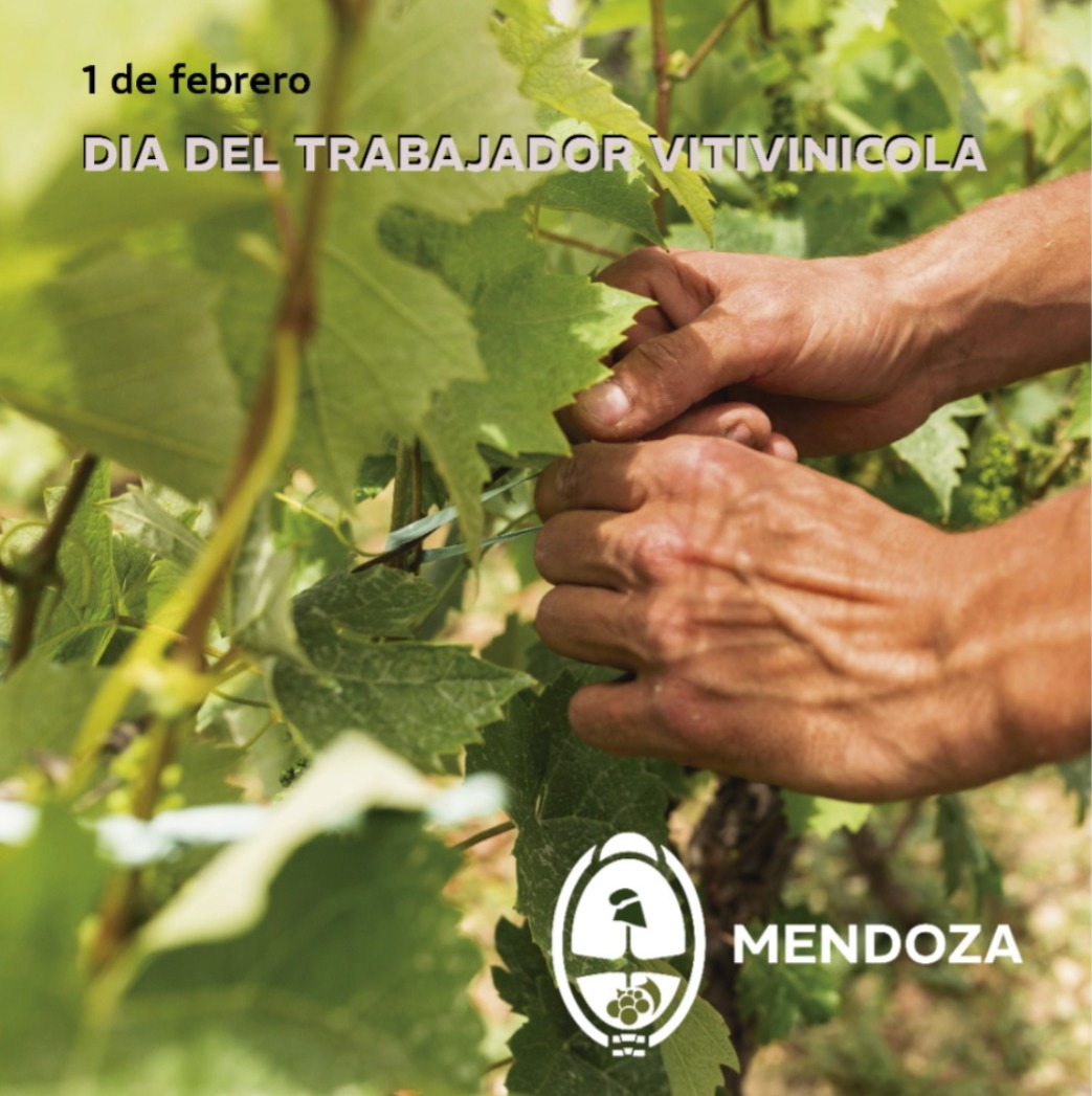 🍷Felicidades a quienes a diario trabajan para hacer de nuestra vitivinicultura un fiel reflejo de nuestra identidad y de la cultura del trabajo como mendocinos. 

1° de Febrero
Día del trabajador vitivinícola

<a href="/MendozaGobierno/">Mendoza Gobierno</a>
<a href="/RVargasArizu/">Rodolfo Vargas Arizu</a>
<a href="/alfredodraque/">Alfredo Draque</a>
