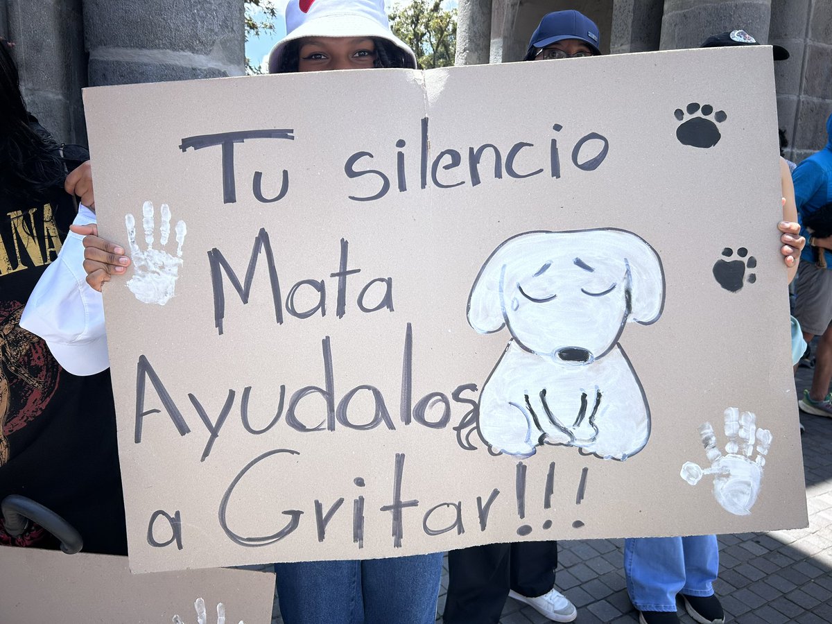 Alexa_Cordova85's tweet photo. #archivatuloda tuvo excelente acogida el día de hoy, porque ellos también tienen derechos https://t.co/X9ARjQ3HRD