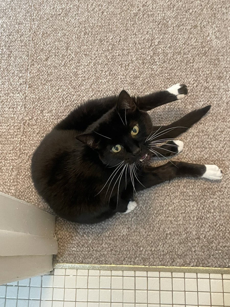 sorcha boots 🍉 tweet media