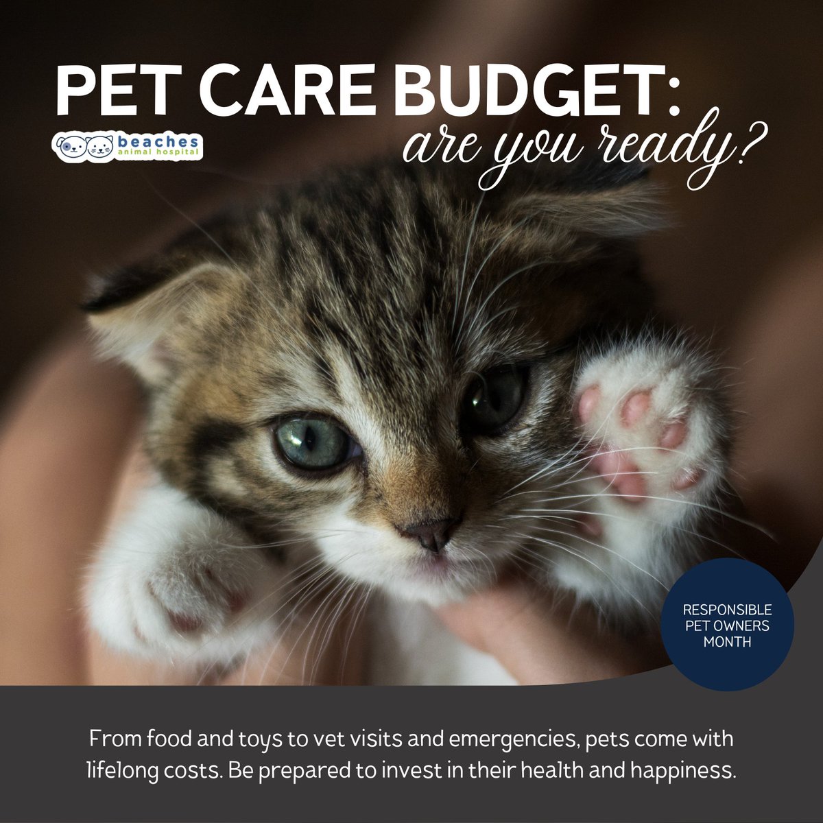 Pets come with a price tag that goes beyond adoption fees. 💸 Be prepared for a lifetime of expenses to keep them healthy and happy! #ResponsiblePetOwnersMonth

#love #instagood #cute #pet #petstagram #photooftheday #instamood #adorable #instapet