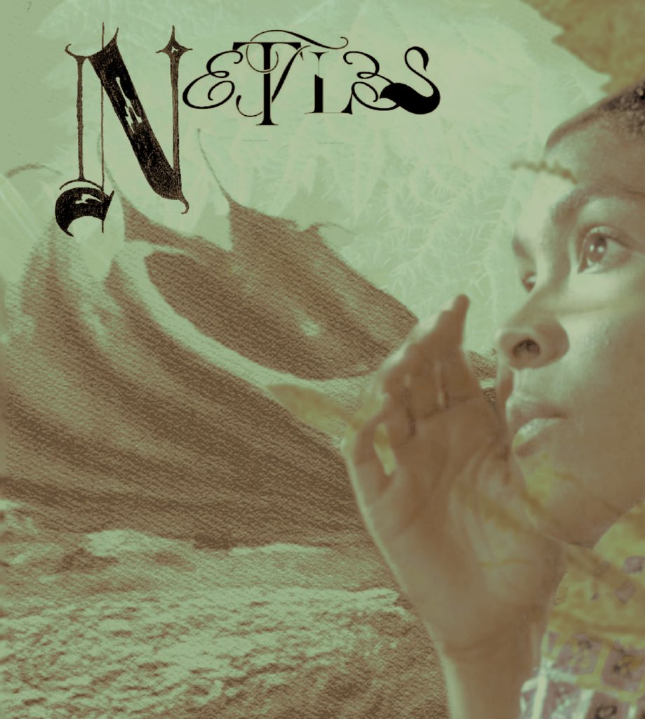 𝑵𝑬𝑻𝑻𝑳𝑬𝑺 tweet media