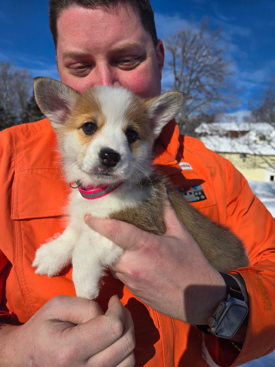haligonianpure's tweet photo. @matthewmercer @WillingBlam with everything bad in the world, sometimes you need some pawsitivity!  Our new house critter Pike Pawfoot!  #critterlife #ourlittlecleric https://t.co/047aWSdEqf