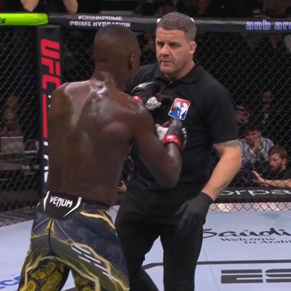 THE MMA GURU tweet media