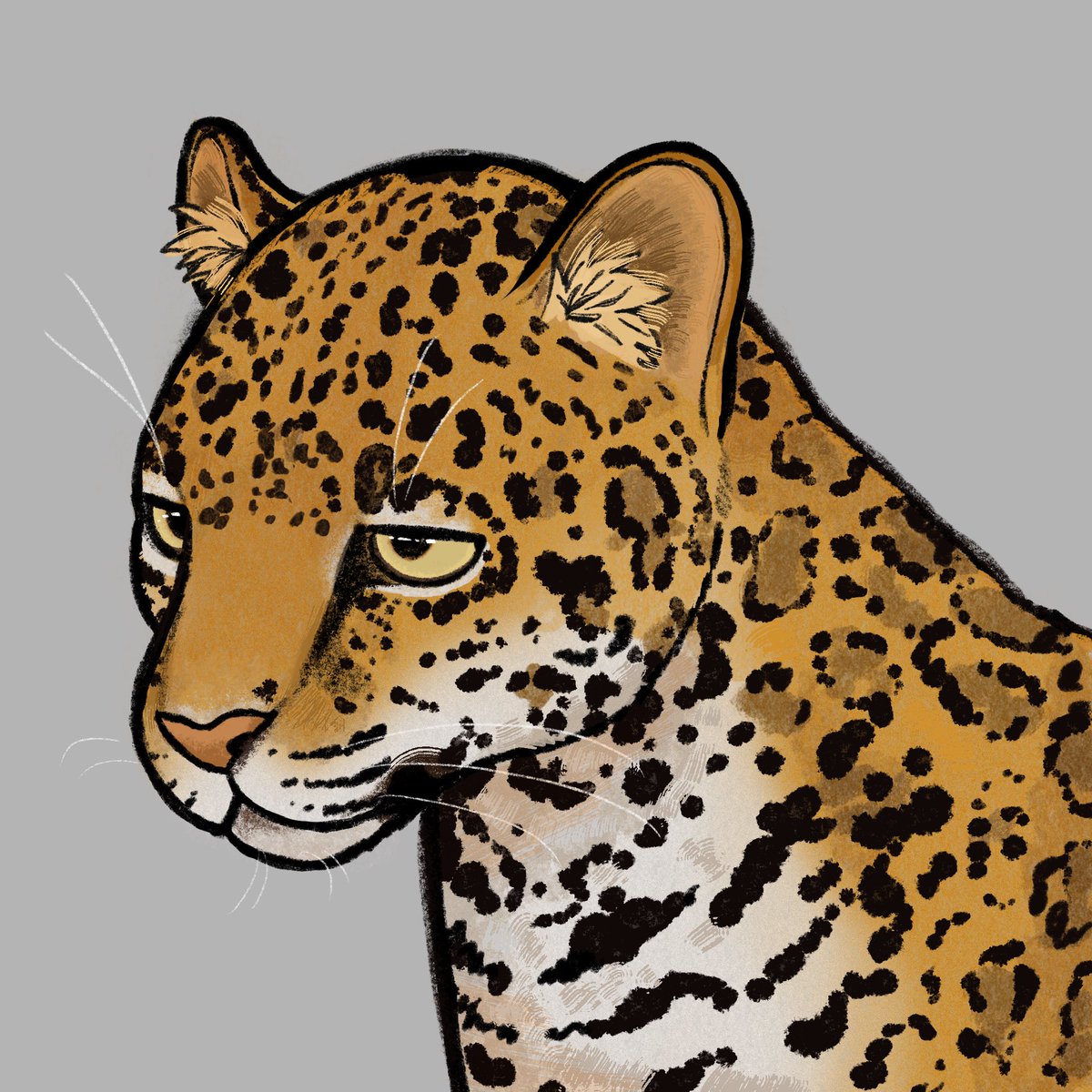 jaaaaaaaaaaaaaaaaag :3