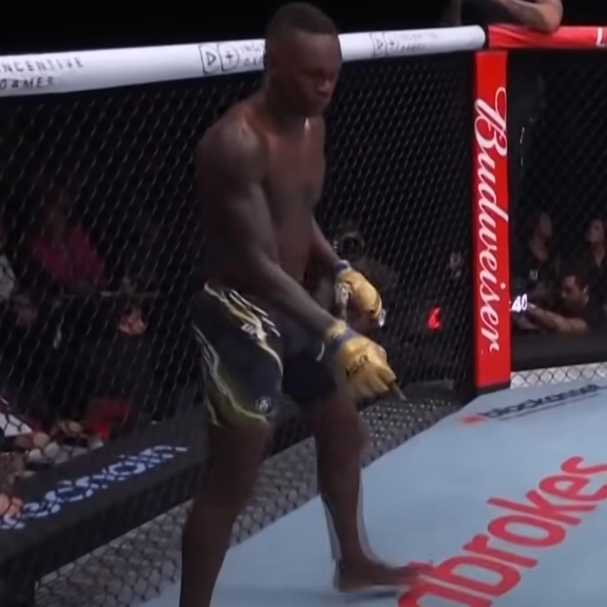 THE MMA GURU tweet media