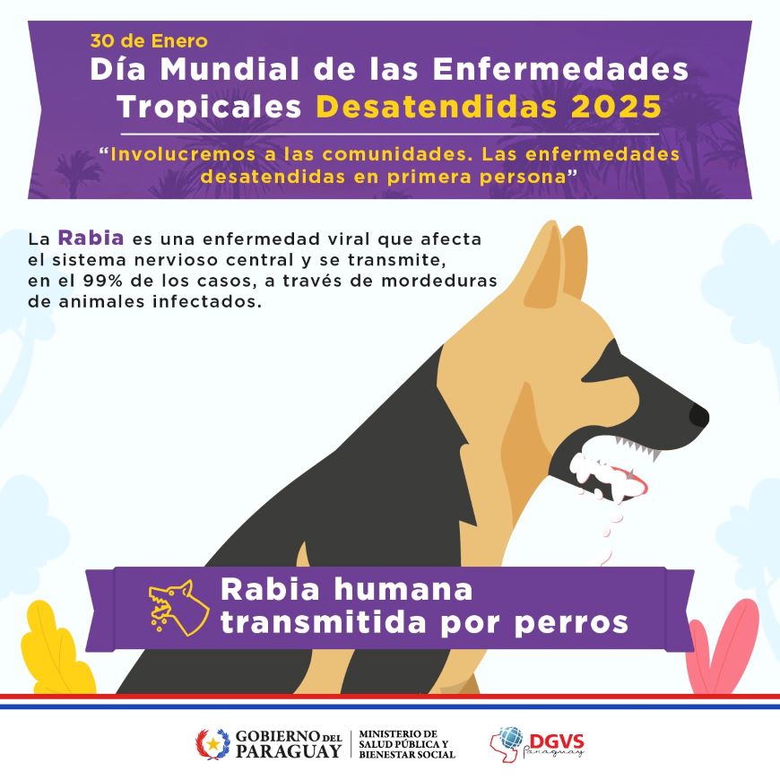 msaludpy's tweet photo. #RabiaHumana, enfermedad prevenible con la vacunación efectiva de mascotas

🔸 Desde hace dos décadas no se registra rabia humana en el país.

🔸 Vacunación gratuita en el Programa Nacional de Control de Zoonosis y Centro Antirrábico Nacional. 

➕ℹ️ https://t.co/KogjtEG33H https://t.co/0Lth3GKPmV
