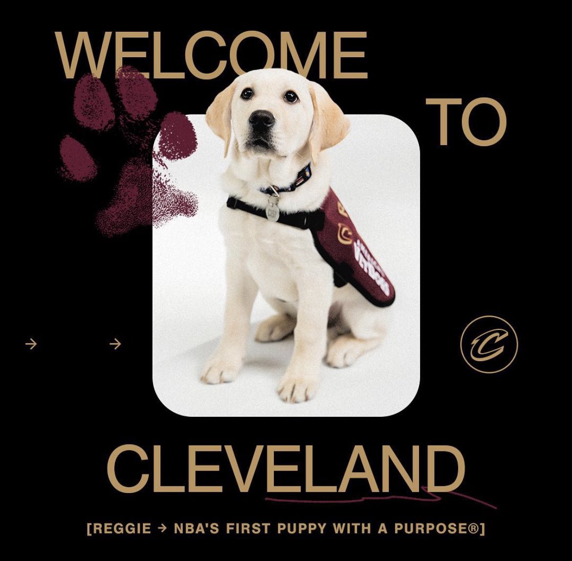 TheCavsJack's tweet photo. The #Cavs might actually vibe their way to a NBA Title https://t.co/NJZeBN2ywP