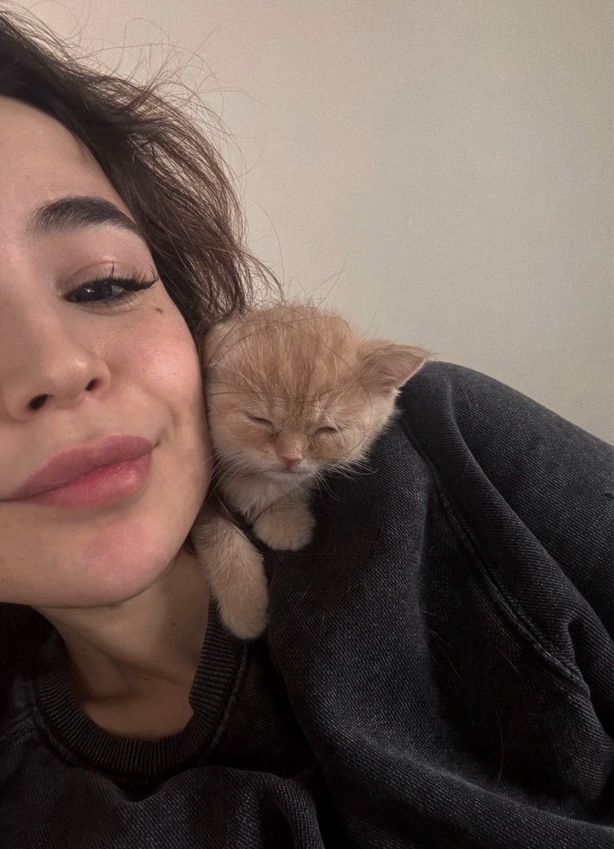 камилфа tweet media