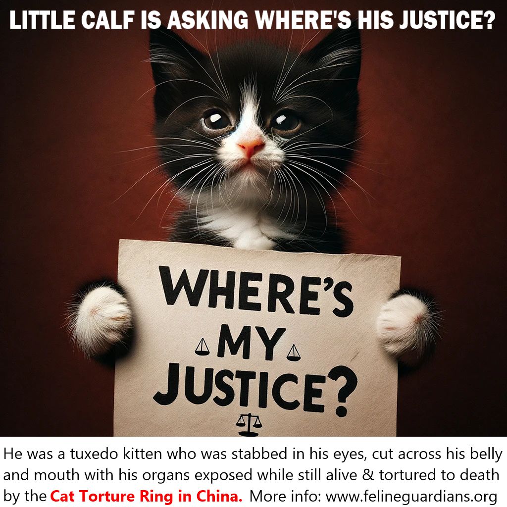 michisisss tweet media