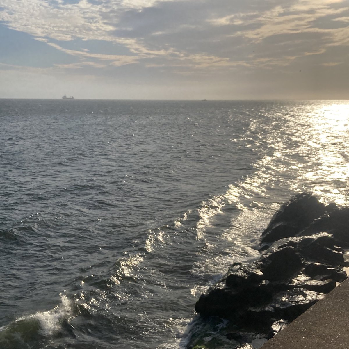 hpleuy's tweet image. Mañana 20:30 en La Barra, Maldonado.
Entrada libre (se canjea en Redtickets)