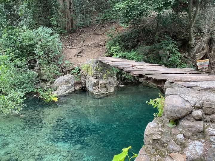 OscarP_H's tweet photo. En lo profundo de la Sierra Hidalguense, se encuentra Arroyo Blanco, un destino perfecto para los amantes de la naturaleza y la aventura. 

📸 Chapulhucan Hidalgo Mexico 

💚 ¡No olvides cuidar el entorno y llevarte solo buenos recuerdos! https://t.co/W1XybIzFDf