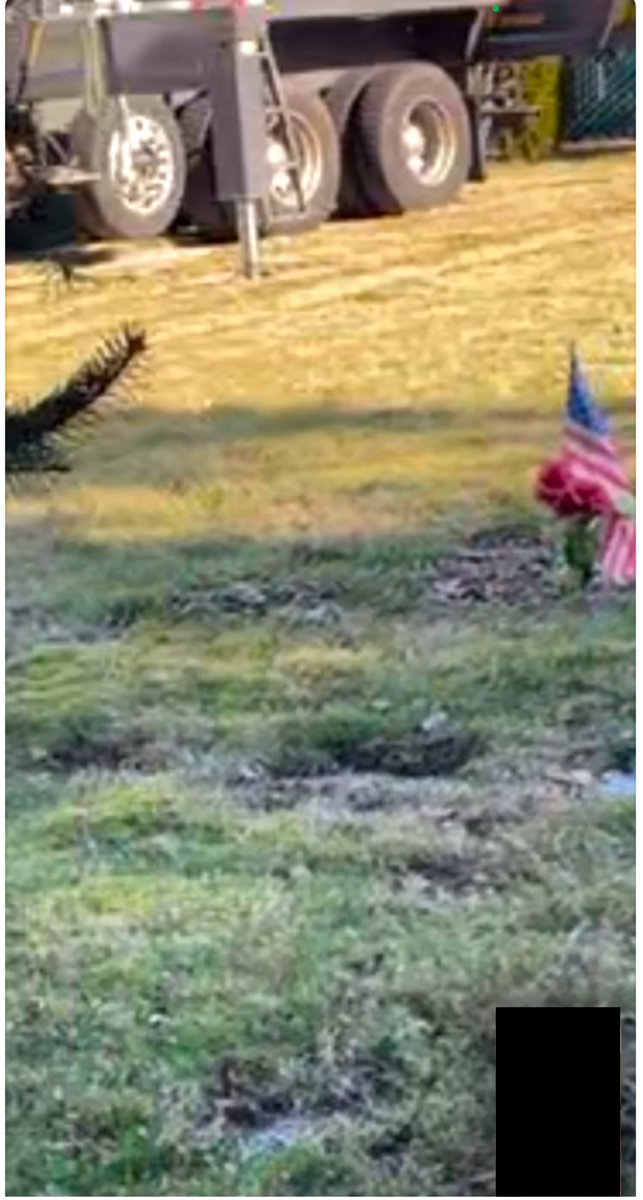 InterCultural Animal Anecdotes and Art tweet media