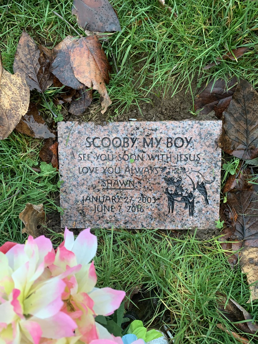 Showdown at historic Seattle-Tacoma Pet Cemetery this week. <a href="/att/">AT&T</a> <a href="/CrownCastle/">Crown Castle</a> desecrated sacred grounds. Community out to protect the deceased as cemetery owner allegedly called the marginalized community, "broke bastards". Multiple sheriff calls. <a href="/SteveMo00935619/">Joe Beagle</a> #brokebastards