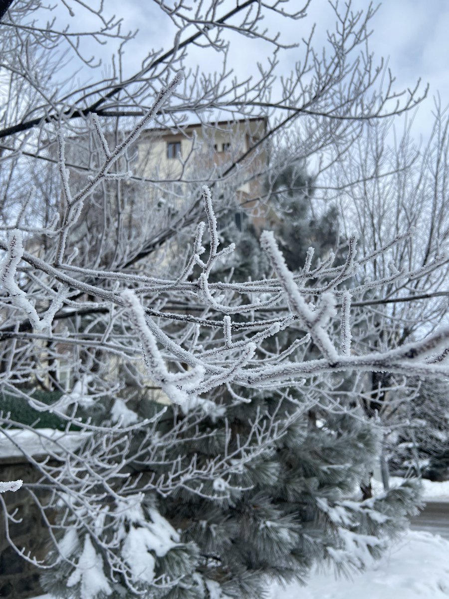 aydndlr5's tweet photo. #ERZURUM https://t.co/qQPgWDBISx