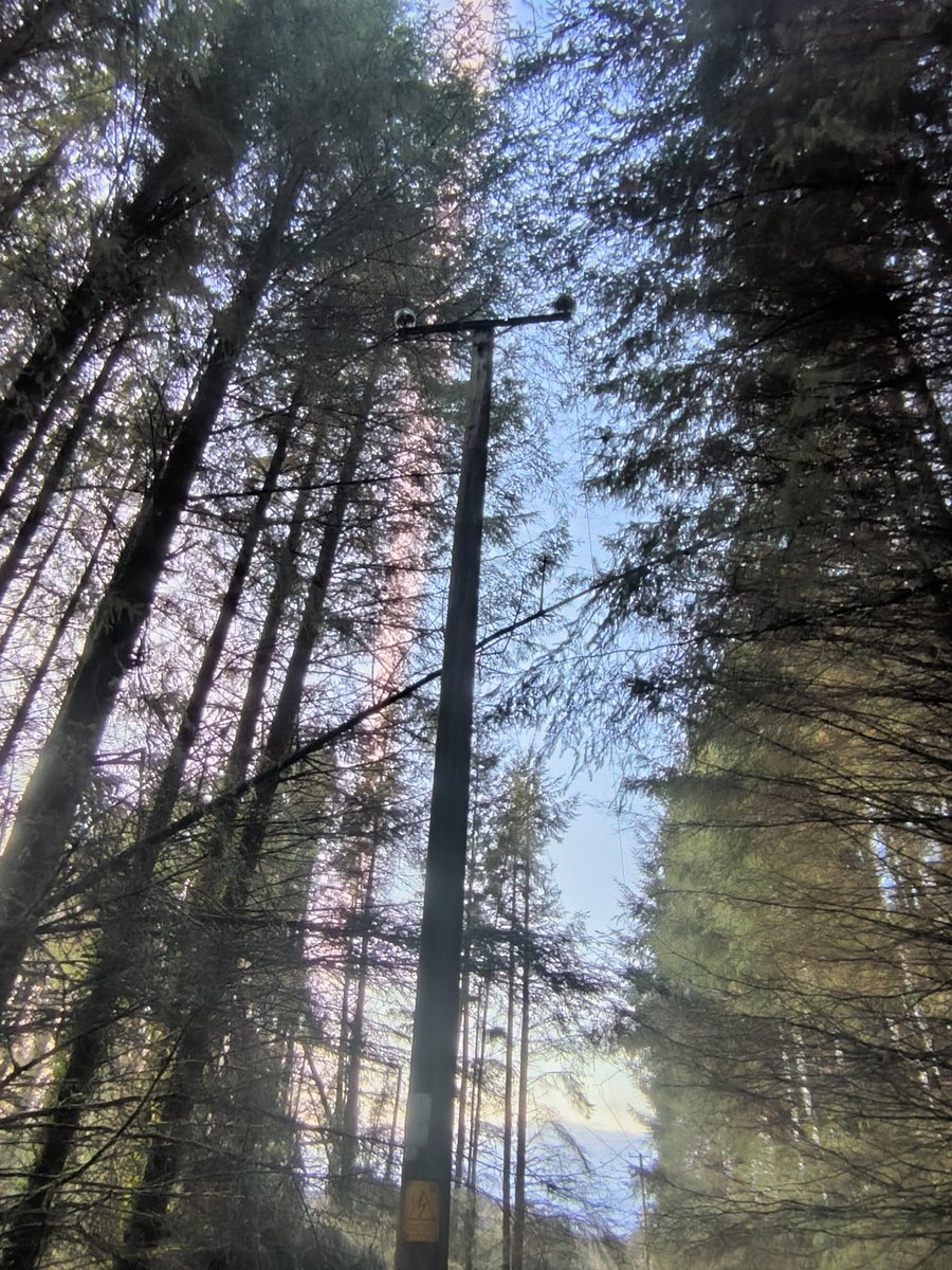 Save Leitrim tweet media