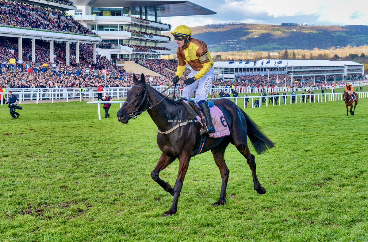 One good thing I can put my camera away for the Cheltenham Gold Cup this year. I already have the photo.