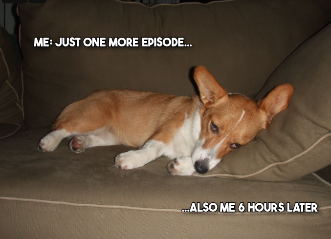 JordynJenaeV's tweet photo. Update: I just started breaking bad and yes this picture sums it up. #MCO335 #RatherBinge https://t.co/Lb3ARuofpd