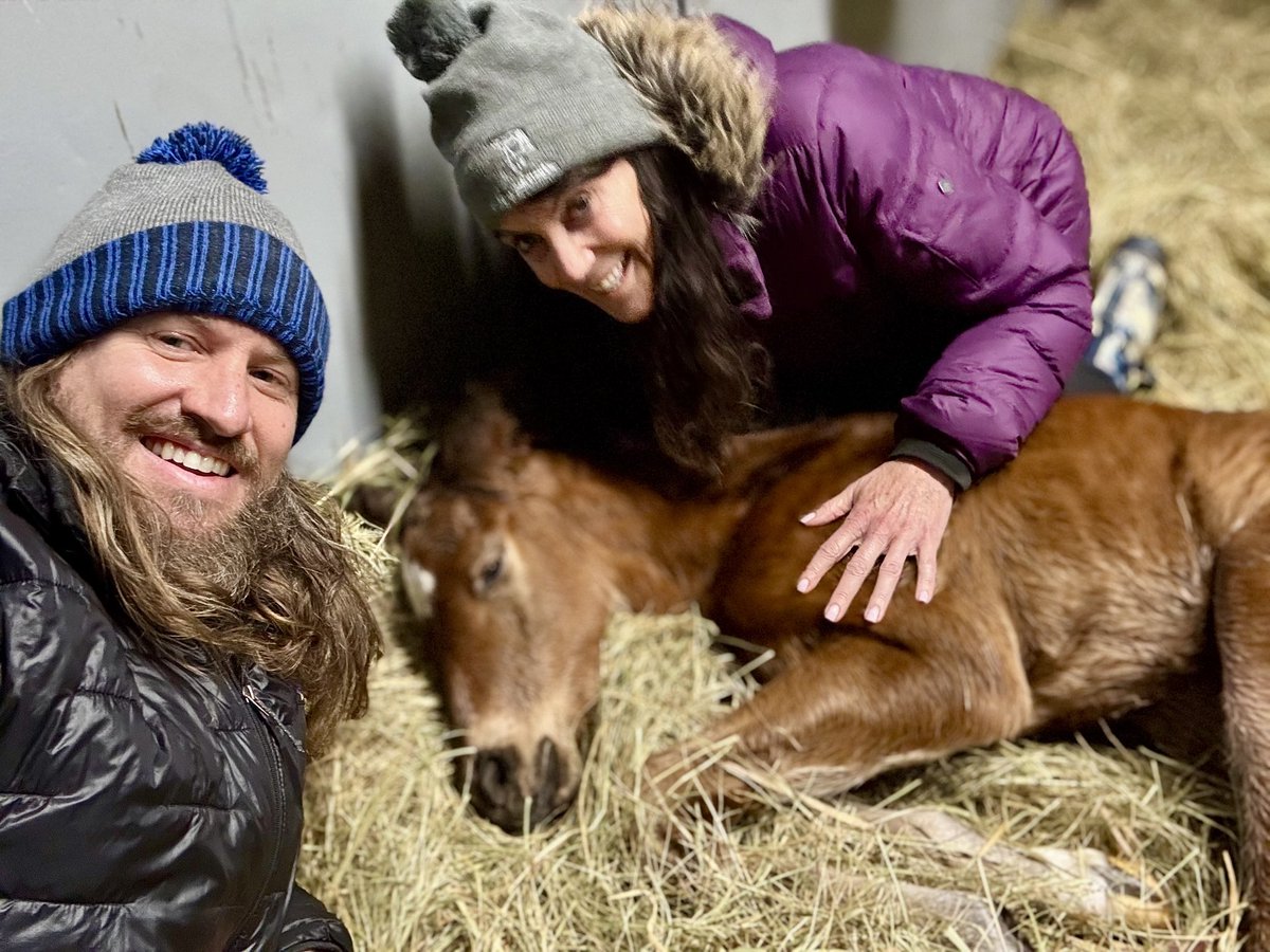 VoodoomonRacing's tweet photo. In the early morning, as Venus, Mars, Jupiter, and Saturn aligned with a young crescent Moon, Ambassador Luna and Voodoomon Racing welcomed a stunning filly by Oscar Performance. Voodoo time! https://t.co/NNSAc1LmMd