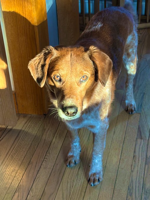 Watch Molly Moon 🌙's leaked NSFW photo on TwXstars