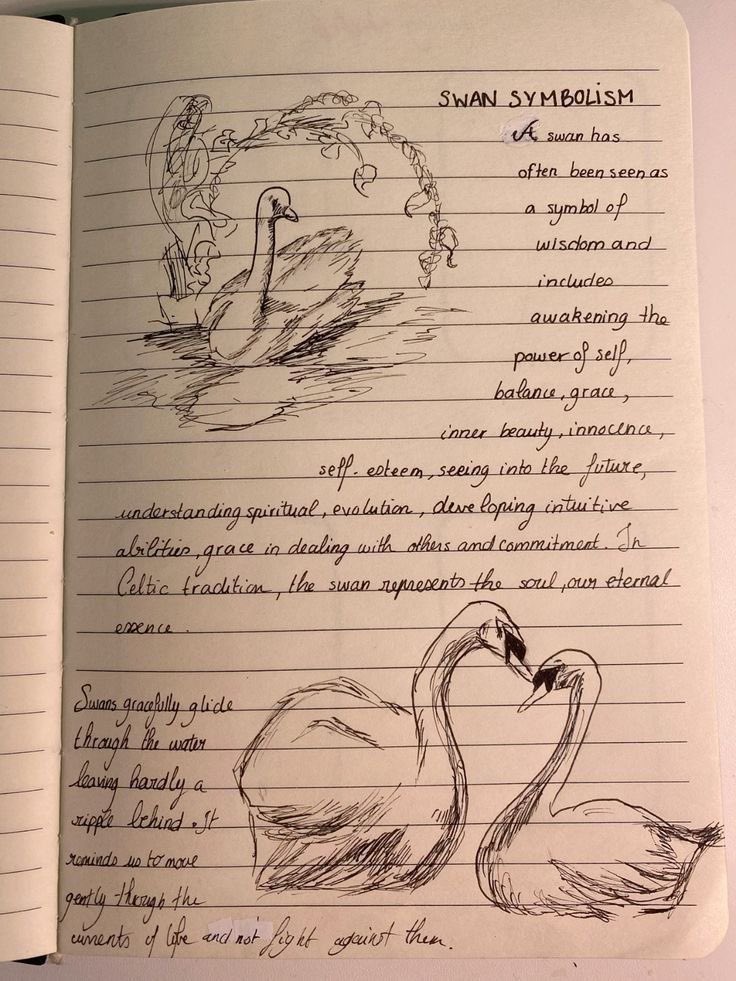 Annais_here's tweet photo. I was bored in potions class https://t.co/PwNoLoA4wl