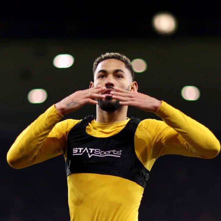 Talking Wolves tweet media