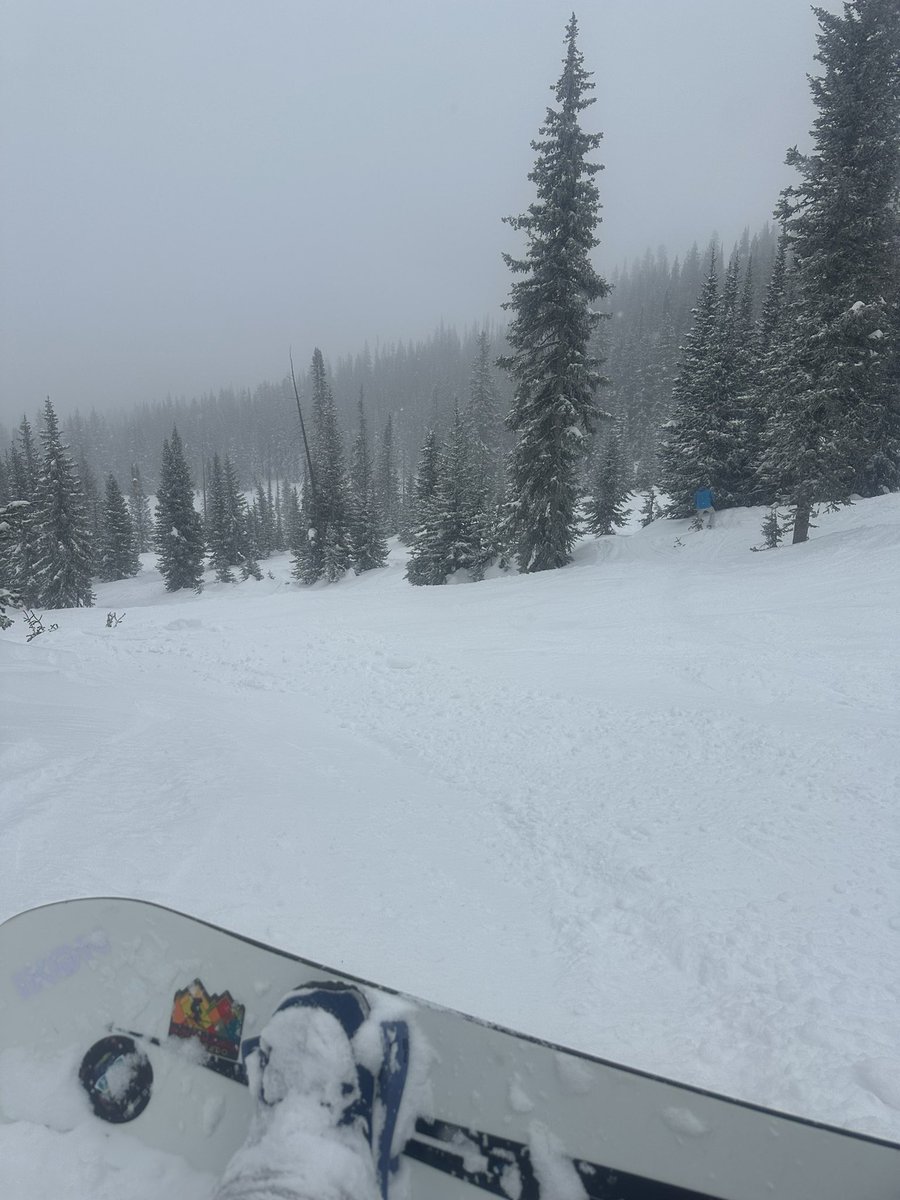 garrettwestholt's tweet photo. Shredding gnar! @skisteamboat #freshpowder https://t.co/CMUFnBni71