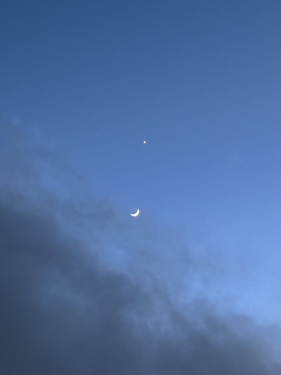 Beatriz Varona ⭐ tweet media