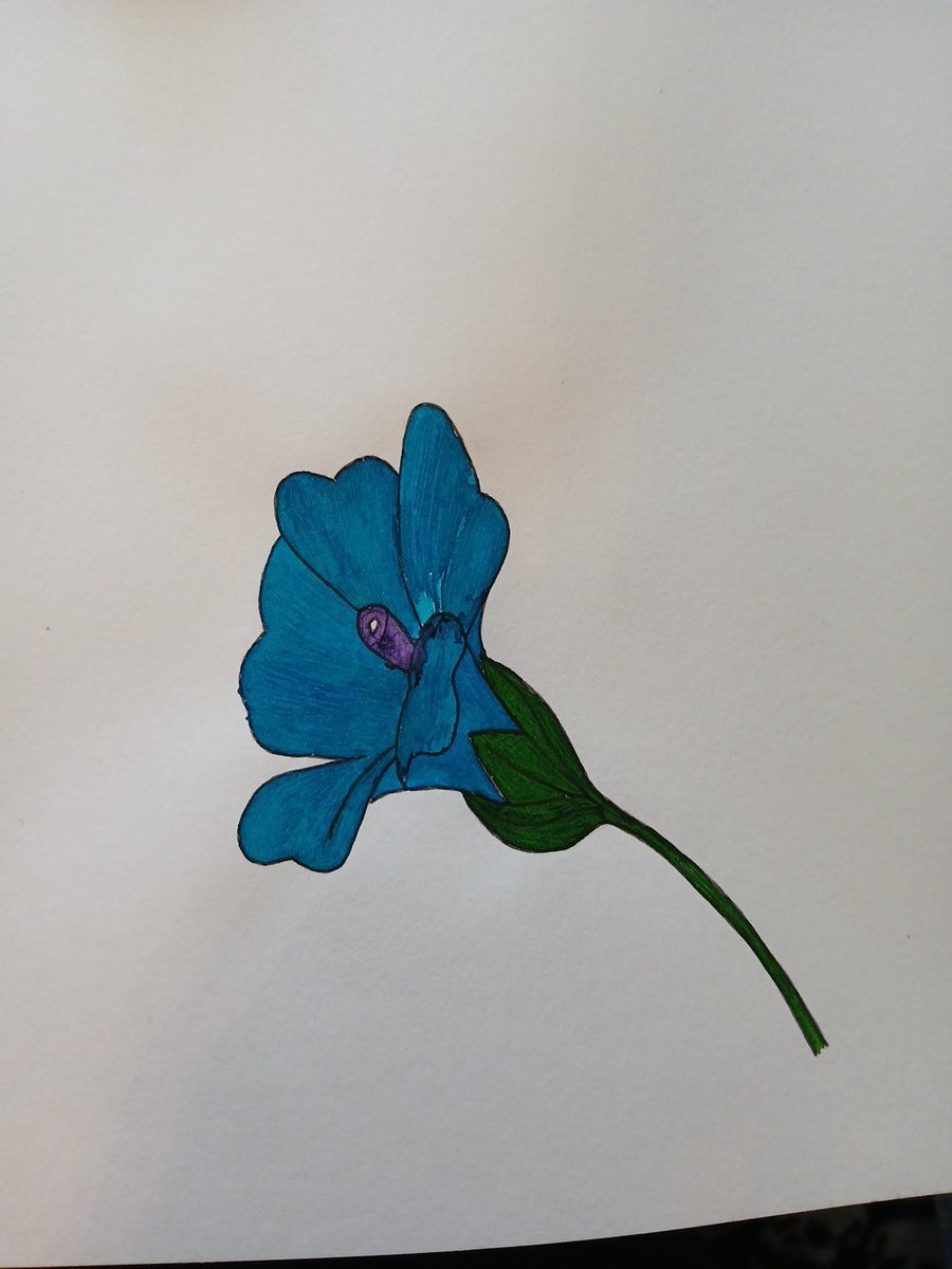 #art success of the day:

Dip pen with #ink from a bottle. 

#drawing #sketching #fountainpen #flowers #nature #sketch