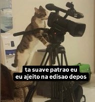 thevideoseed's tweet photo. https://t.co/GvKhCKG88D