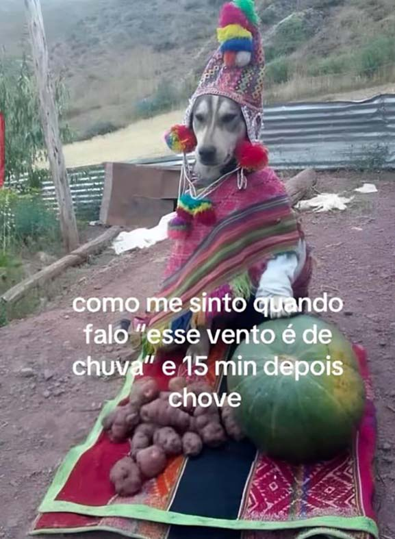 memesdogaga's tweet photo. https://t.co/uMrXNQBYNd