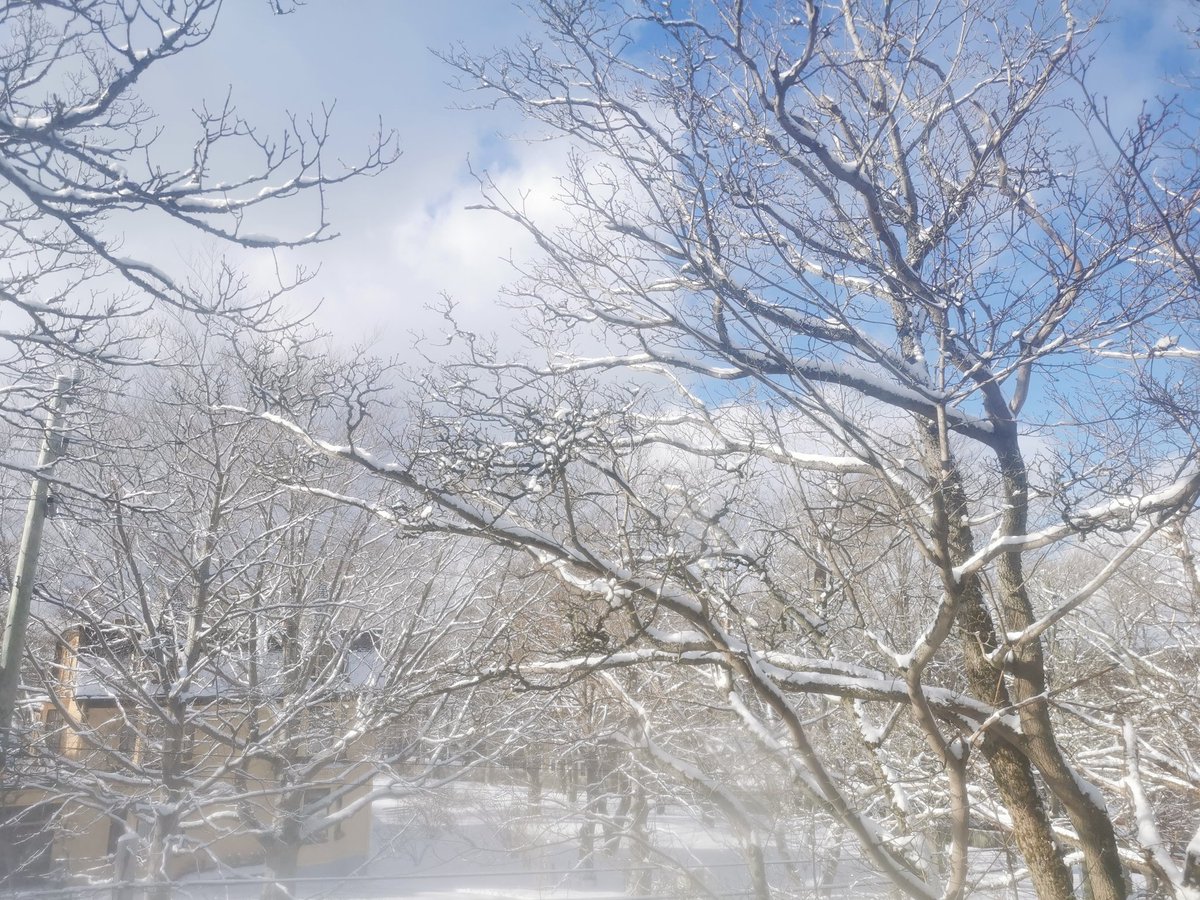 NinjaDashCos's tweet image. Current weather