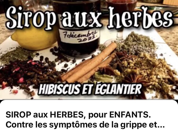 pres_reine's tweet image. Sirop aux herbes! 🌿
🌺Hibiscus et églantier. 🌺

🎥 youtu.be/zMvX3IHQtBA?si…

#Grippe #rhume #enfant #adulte 
#Prévention #soigner #santé #cocktail #citron #cannelle #anisétoilé #sauge #cloudegirofle 
#remède