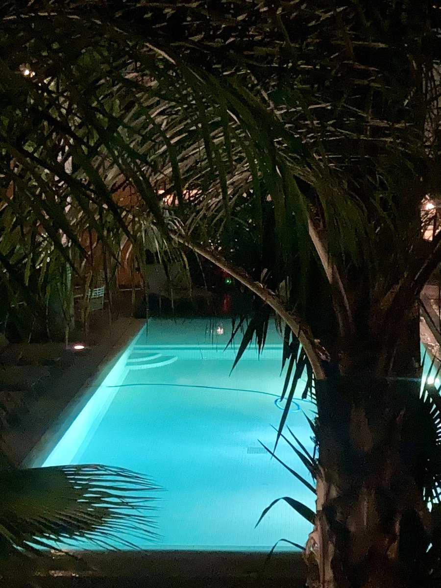 Julie Reynolds tweet media