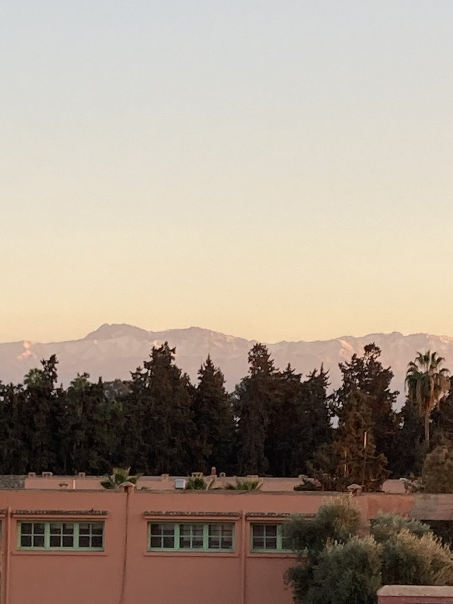 Julie Reynolds tweet media