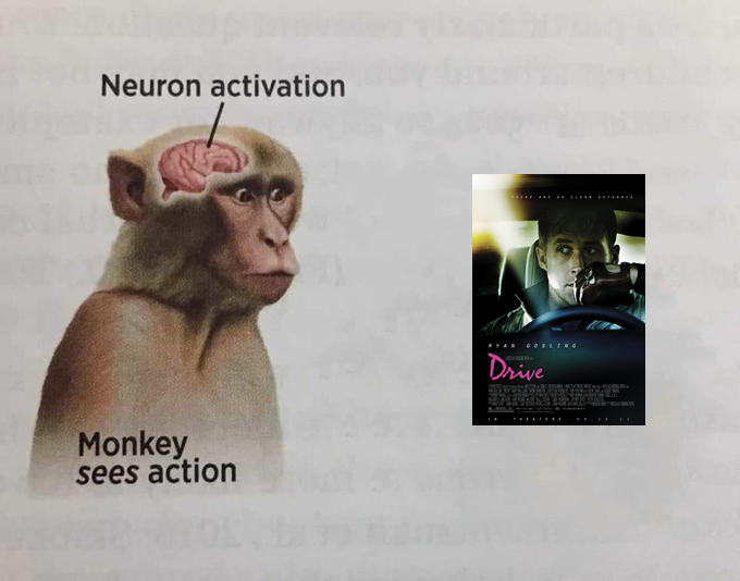 from_breslau's tweet photo. @litteralyme0 Literally me: https://t.co/gPVJYUGDxe
